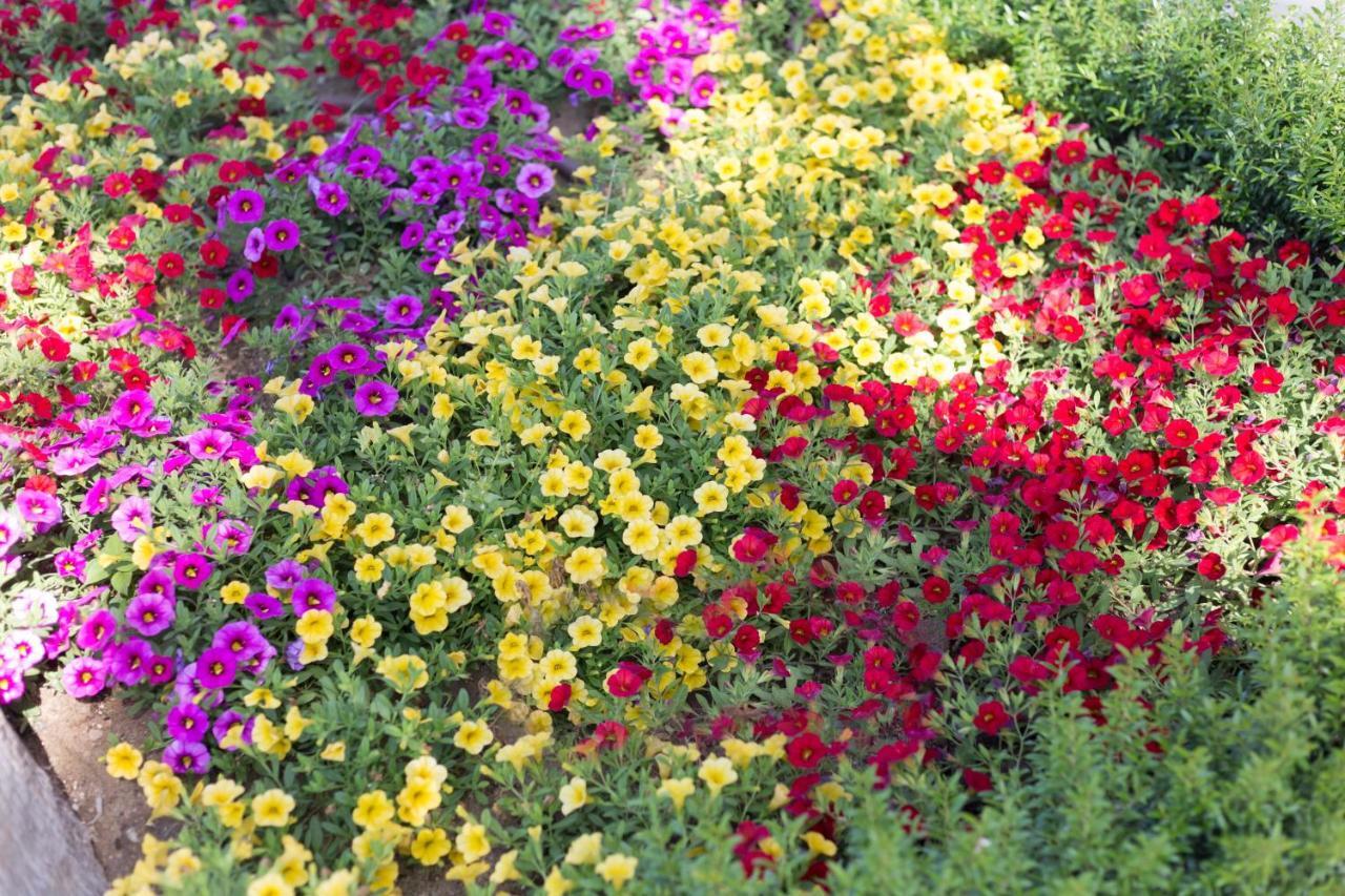 Suite Hotel L'Oasi Di Riaci (Adults Only) Santa Domenica  Dış mekan fotoğraf